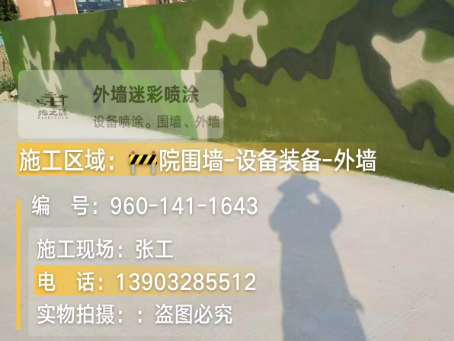 阜新 迷彩漆喷涂价格（按平方米计费）