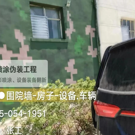 阜新数码迷彩漆施工